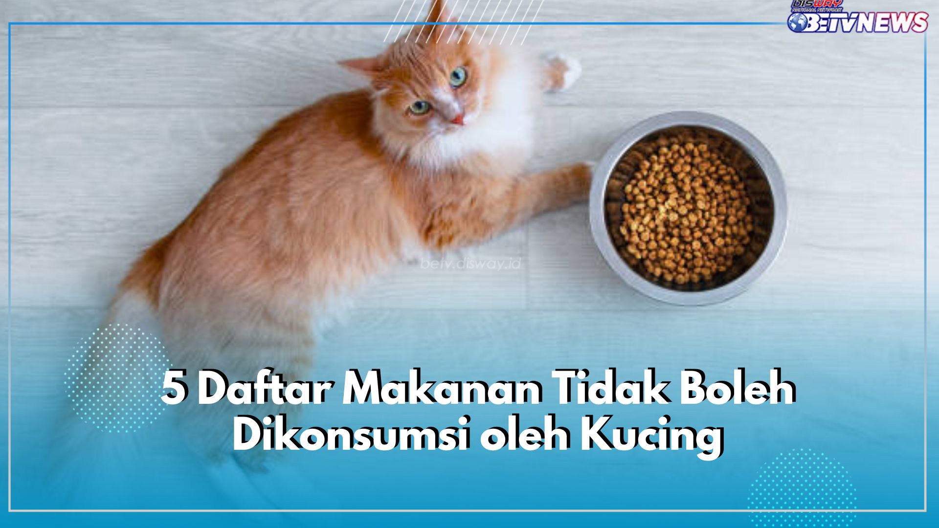 Jangan Sembarangan! 5 Daftar Makanan Ini Tidak Boleh Dikonsumsi oleh Kucing, Bisa Sakit hingga Keracunan