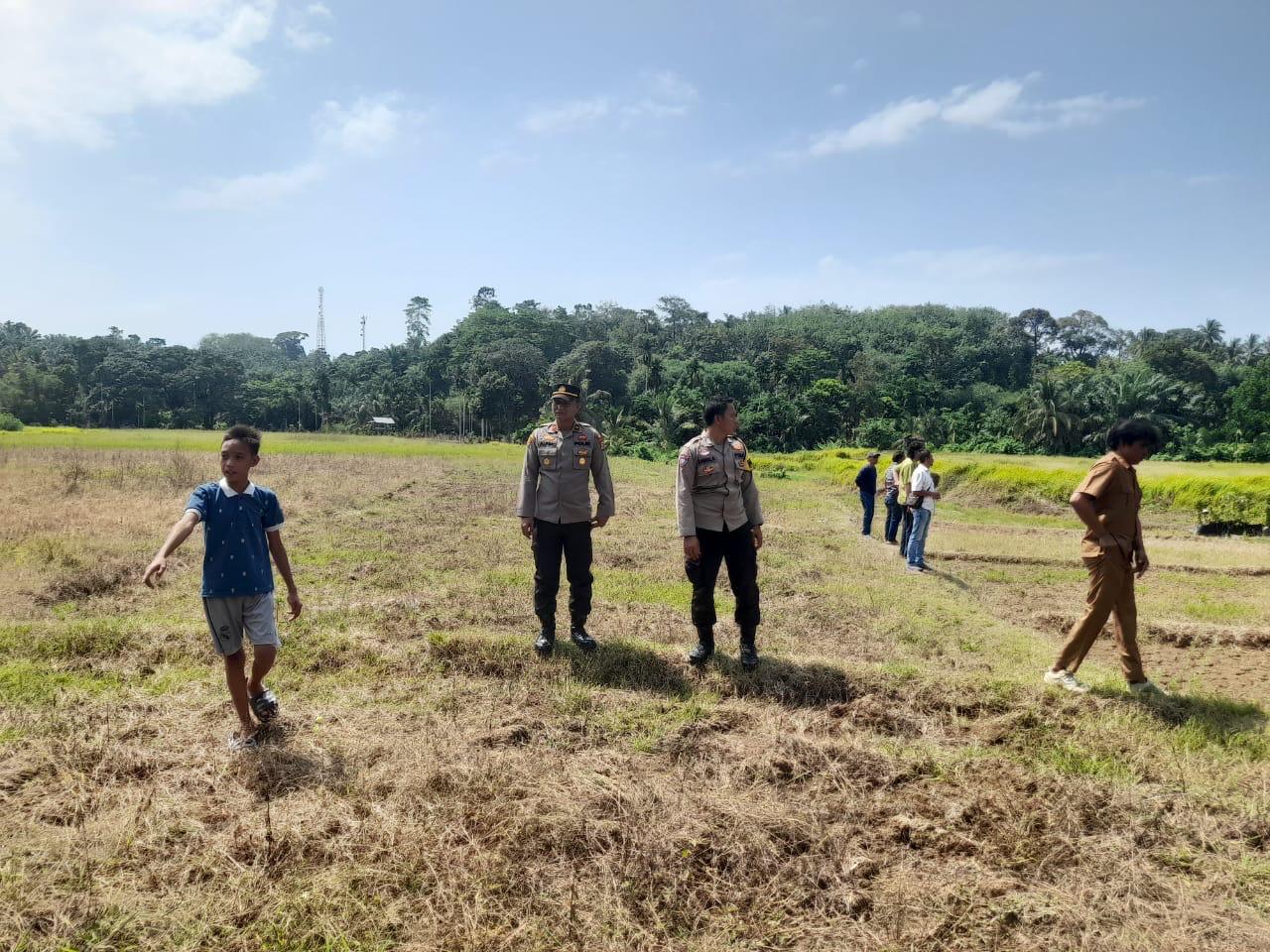 Geger Suara Auman Harimau di Desa Linau, Polisi Imbau Masyarakat Selalu Waspada Saat Berkebun