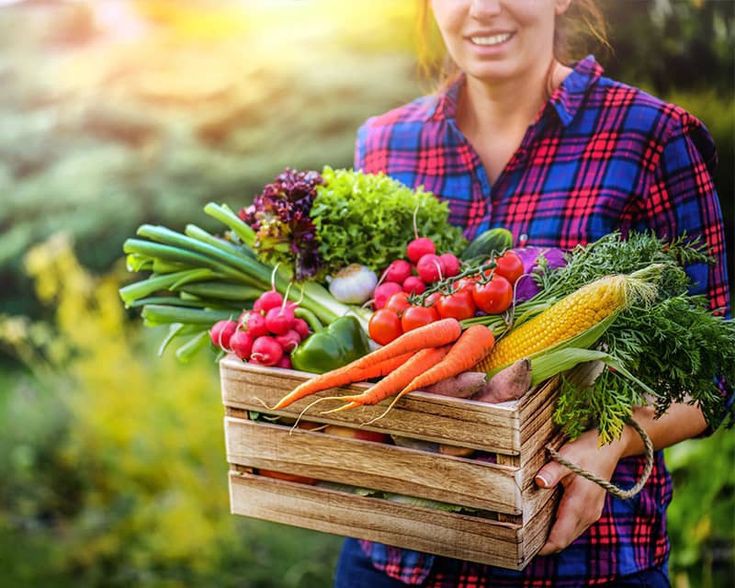 10 Daftar Buah dan Sayuran Paling Banyak Mengandung Vitamin C, Manfaatnya Ampuh Mencegah Memar Pada Kulit