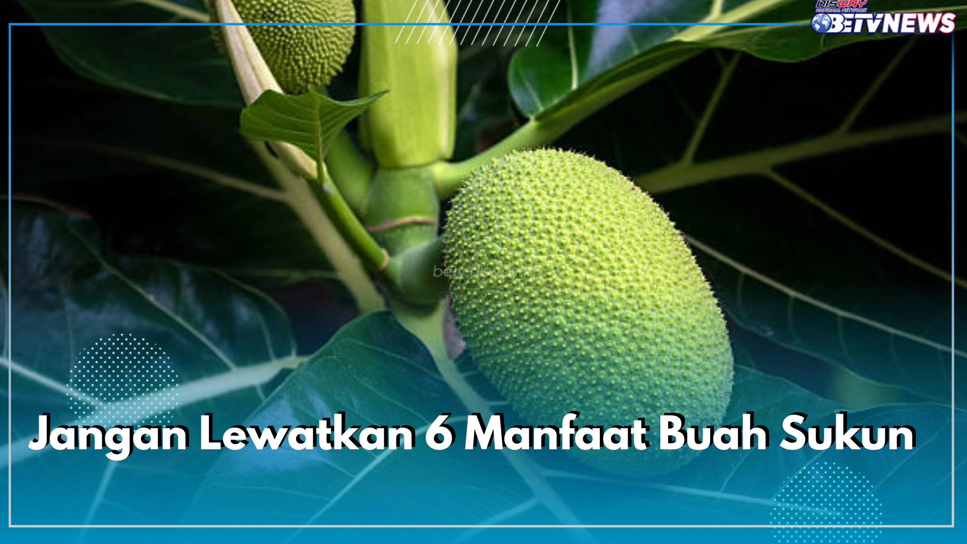 Jangan Lewatkan 6 Manfaat Buah Sukun, Mampu Mencegah Radikal Bebas dan Nyeri Sendi