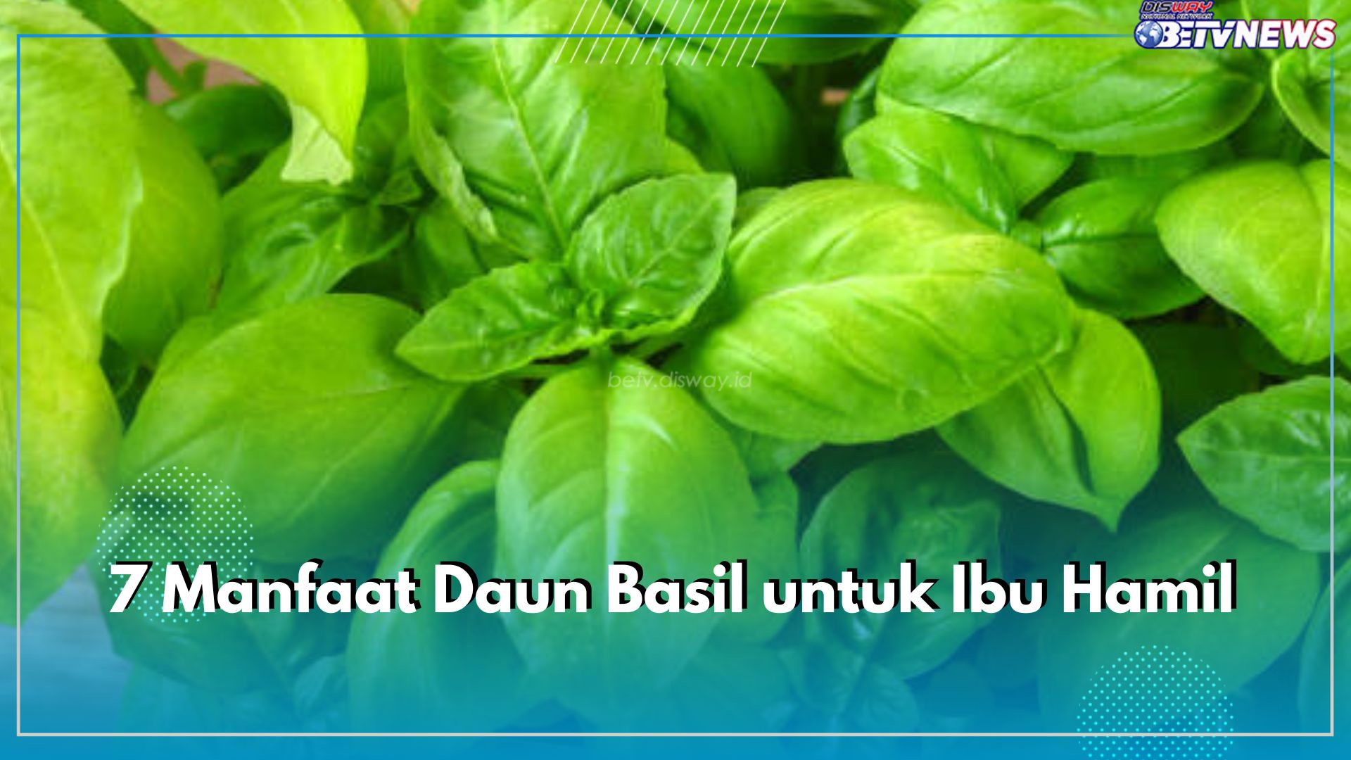 7 Manfaat Daun Basil untuk Ibu Hamil, Kandungan Nutrisinya Bagus Bagi Bayi