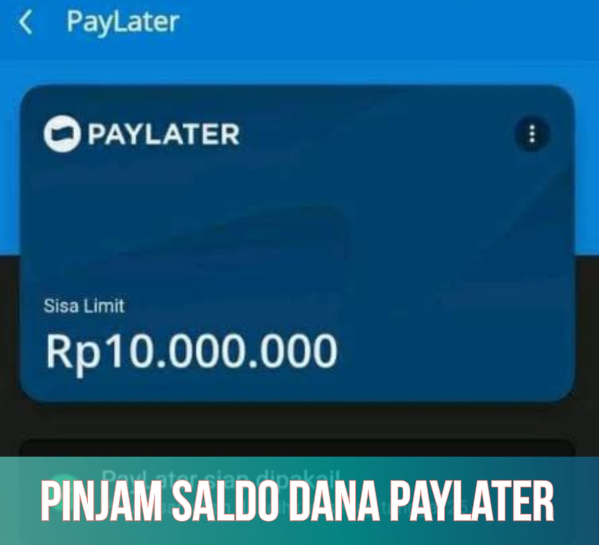 Tanpa Ribet! Ajukan Pinjaman DANA PayLater dengan KTP, Saldo Rp10 Juta Langsung Cair ke Dompet Digital Milikmu