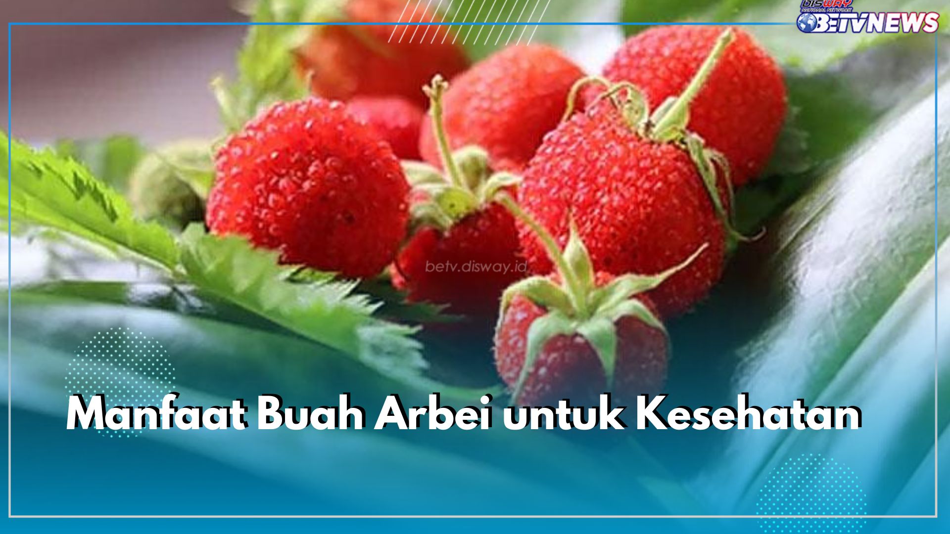 Banyak Manfaat yang Bisa Diklaim, Ini Kandungan Nutrisi dan 5 Khasiat Buah Arbei bagi Kesehatan