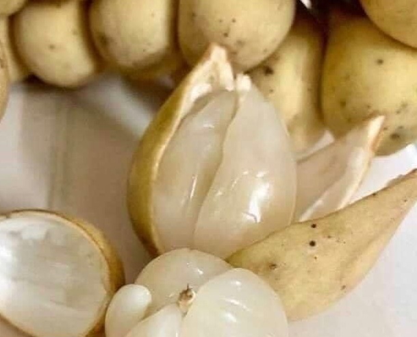 Cek di Sini! Efek Samping Buah Duku bagi Kesehatan yang Perlu Diketahui