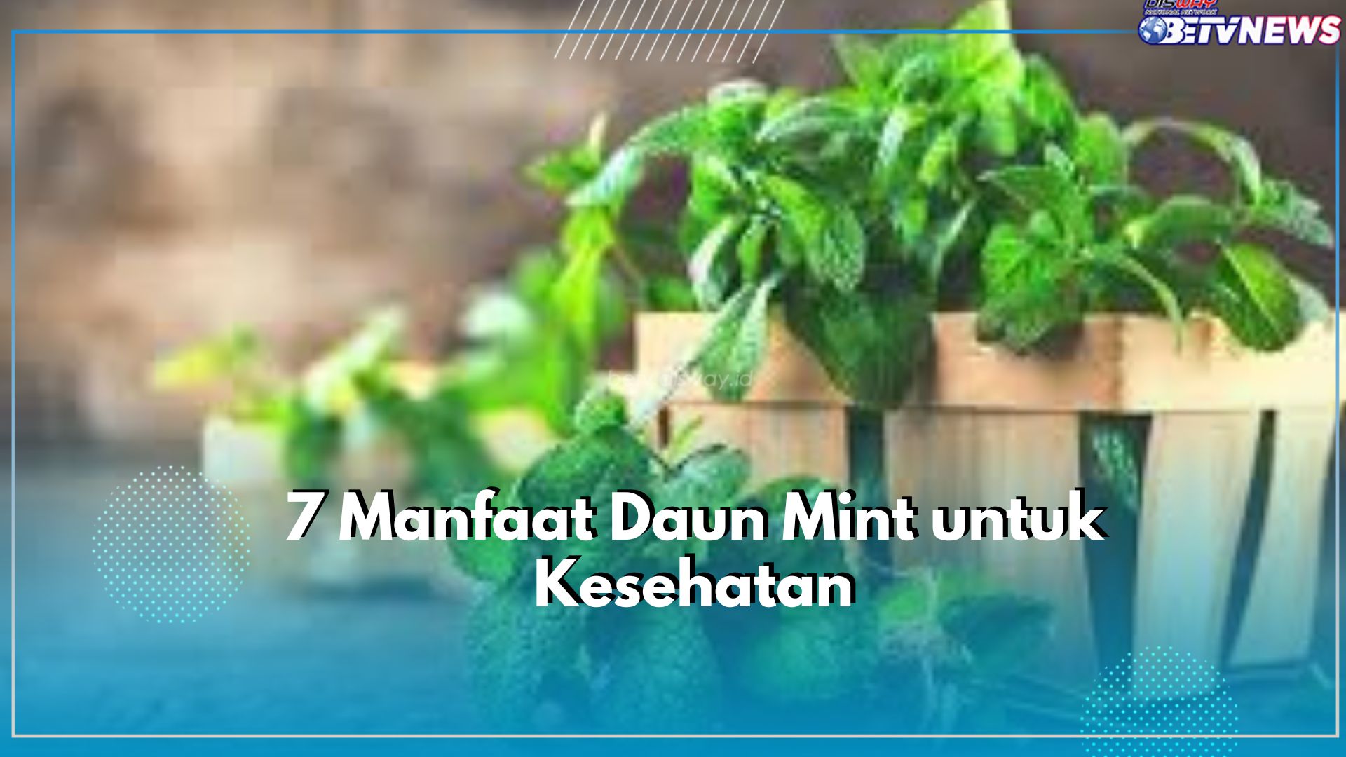 7 Manfaat Tersembunyi Daun Mint untuk Kesehatan, Salah Satunya Ampuh Kurangi Stres