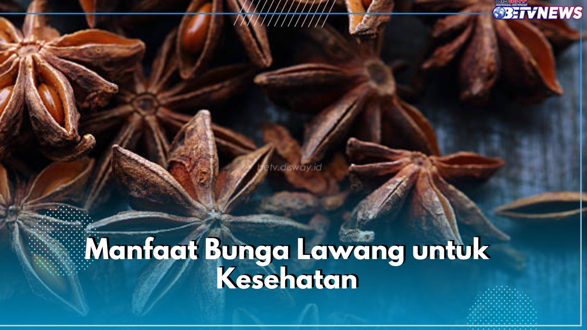 Tak Hanya Jadi Penyedap Masakan, Ini 6 Manfaat Bunga Lawang untuk Kesehatan, Bisa Atasi Masalah Pencernaan