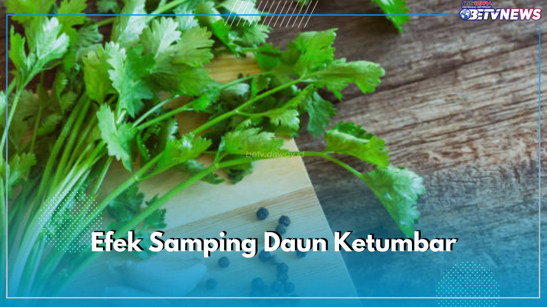 8 Efek Samping Daun Ketumbar, Bisa Membahayan Tubuh Jika Dikonsumsi Secara Berlebihan, Cek di Sini