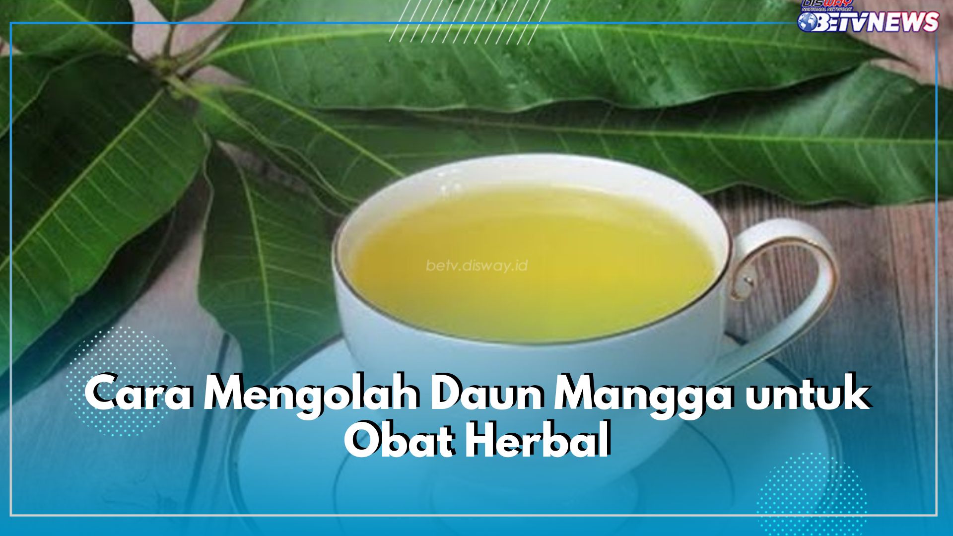 5 Cara Mudah Olah Daun Mangga Jadi Obat Herbal, Bisa Dibuat Sendiri di Rumah, Lho!