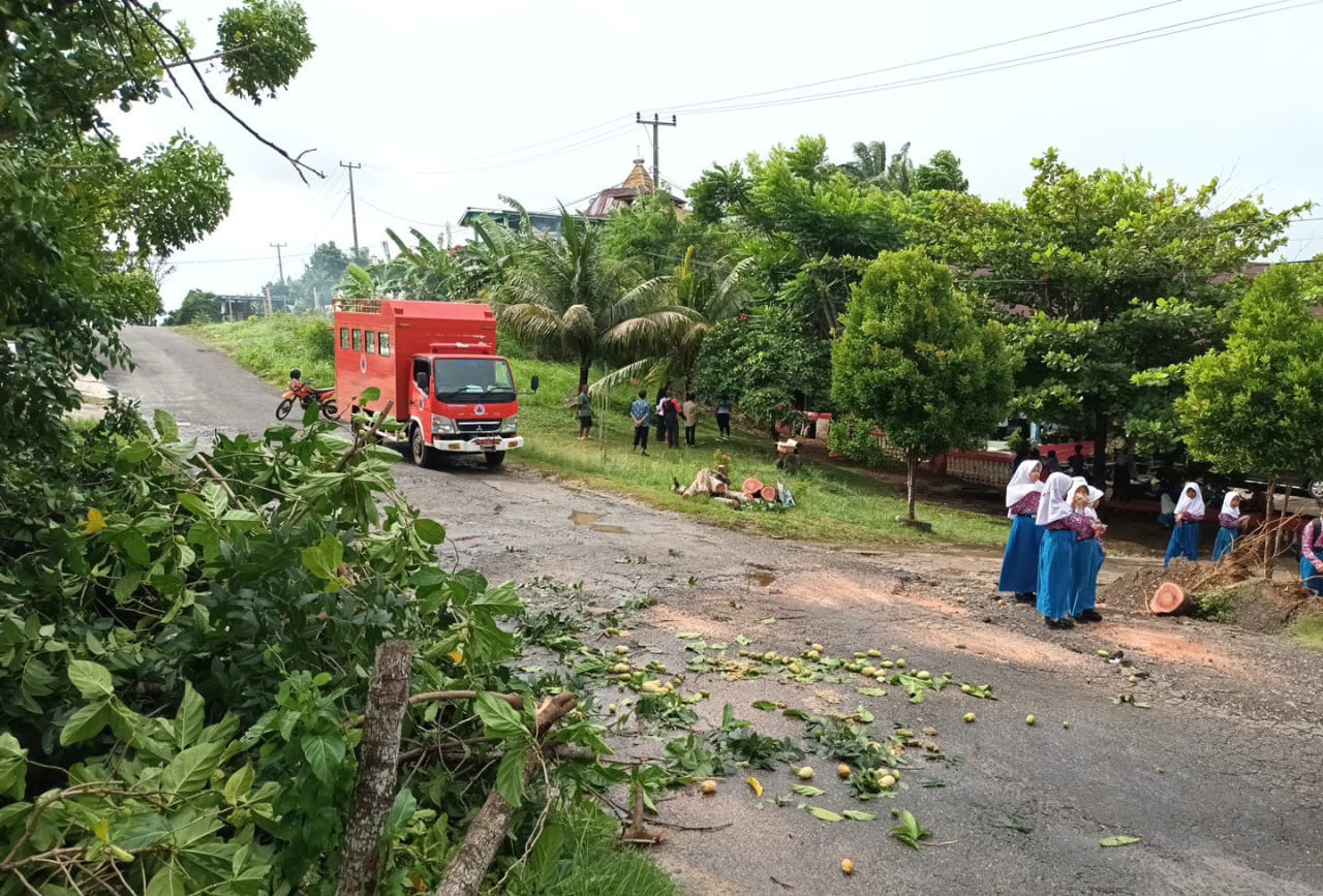 Hujan Lebat Disertai Angin Kencang Diprediksi Berlanjut 3 Hari ke Depan, Masyarakat Bengkulu Diminta Waspada