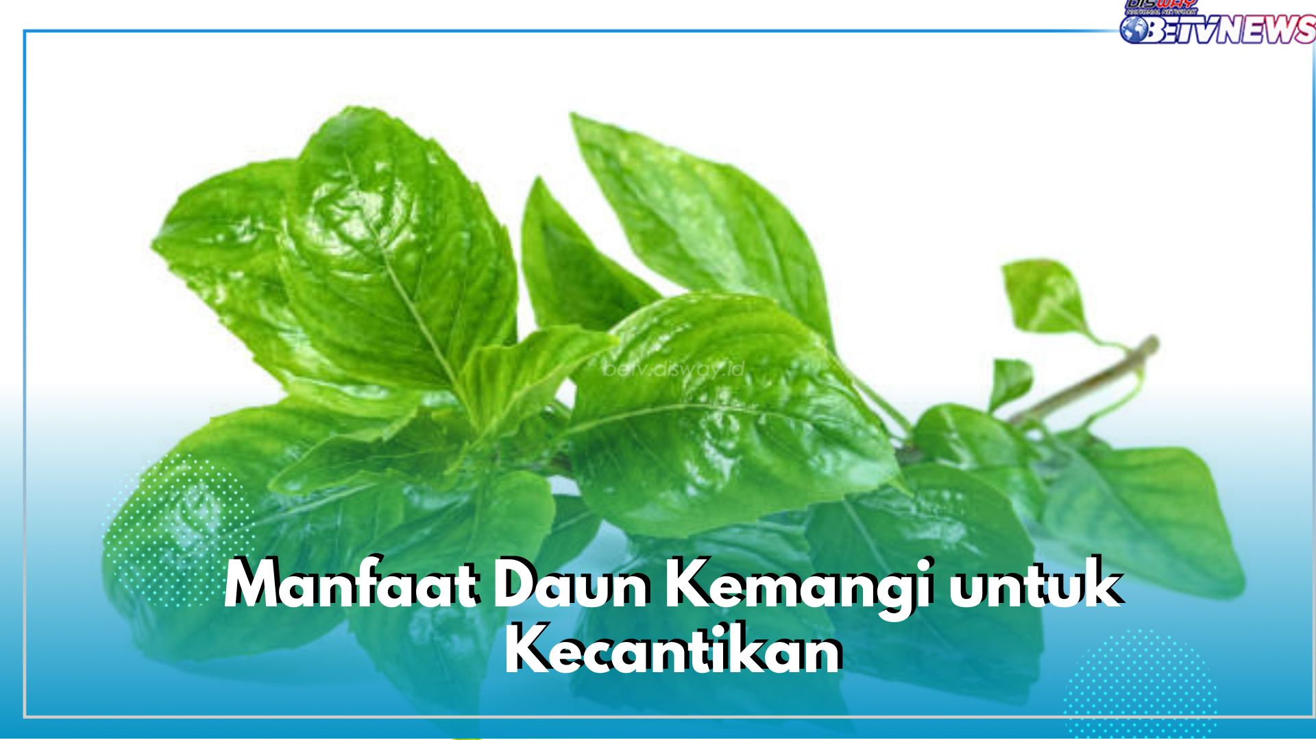 Bukan Sembarang Lalapan, Daun Kemangi Tawarkan 6 Manfaat Ini untuk Kecantikan