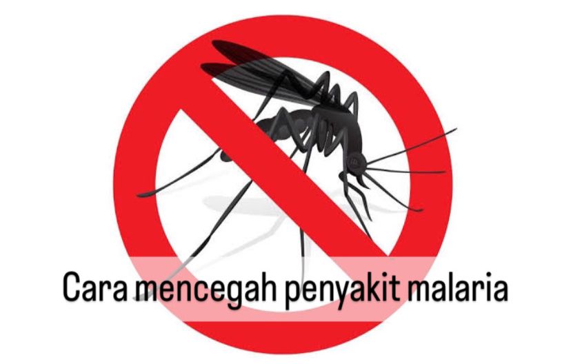 6 Cara Cegah Penyakit Malaria, Tidur Menggunakan Kelambu hingga Hindari Keluar saat Petang