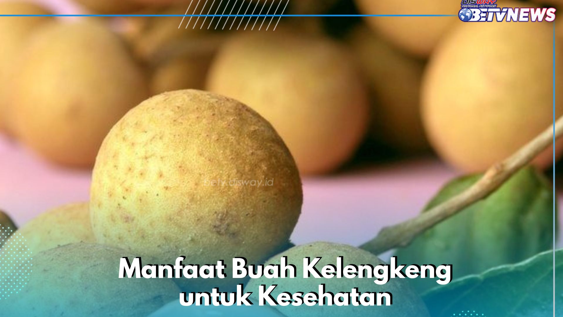 Buah Kelengkeng Ampuh Mengatasi Insomnia, Cek Manfaat Lengkapnya di Sini