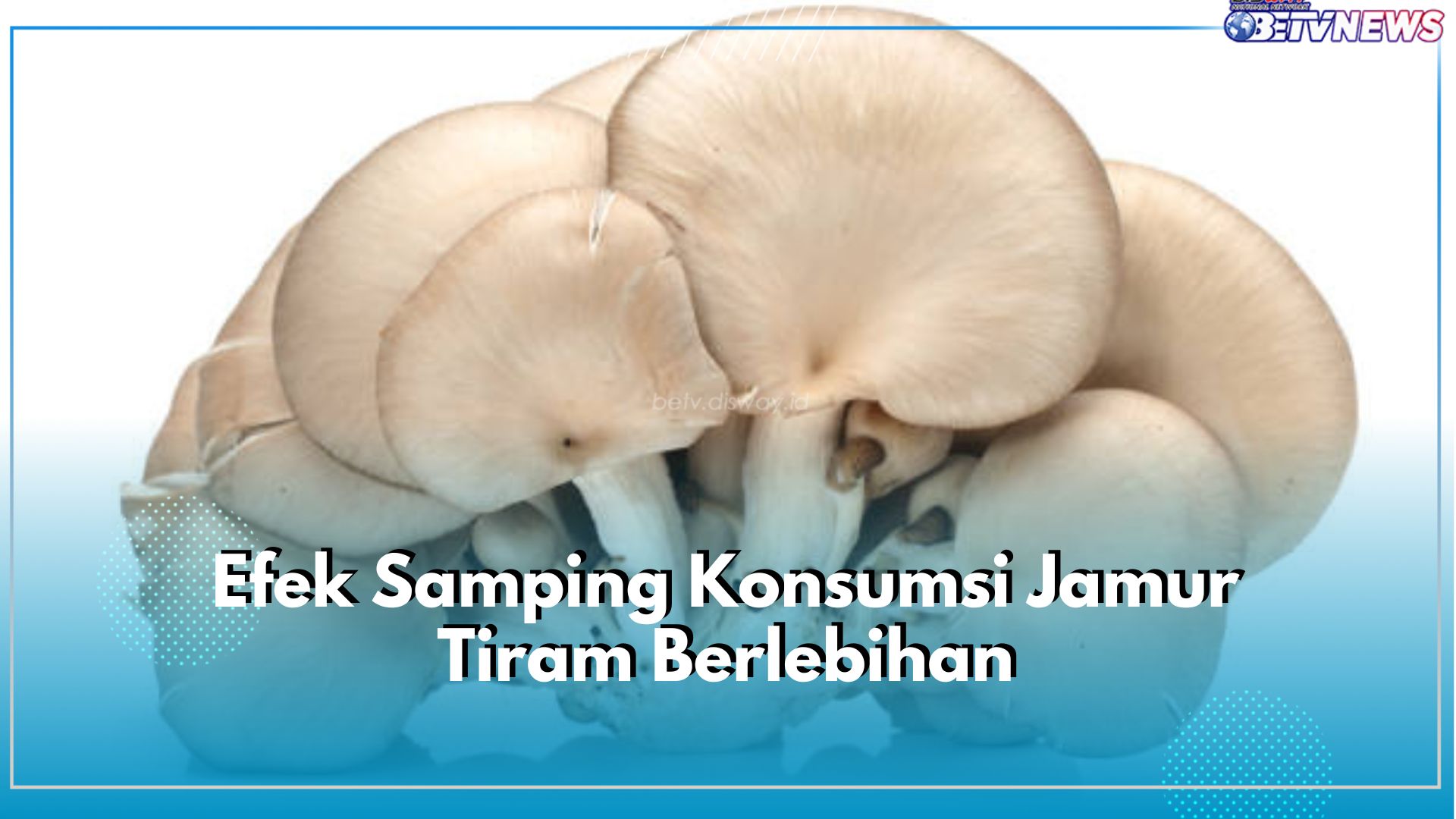Hati-hati! Konsumsi Jamur Tiram Berlebihan Bisa Sebabkan 6 Efek Samping Ini