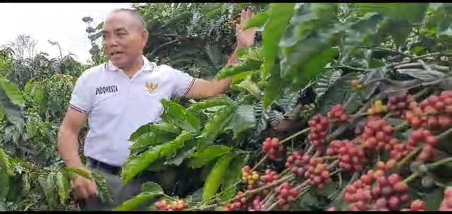 Gandeng Perusahaan Kopi Kapal Api, Kepahiang Akan Bangun Kebun Percontohan di Provinsi Bengkulu