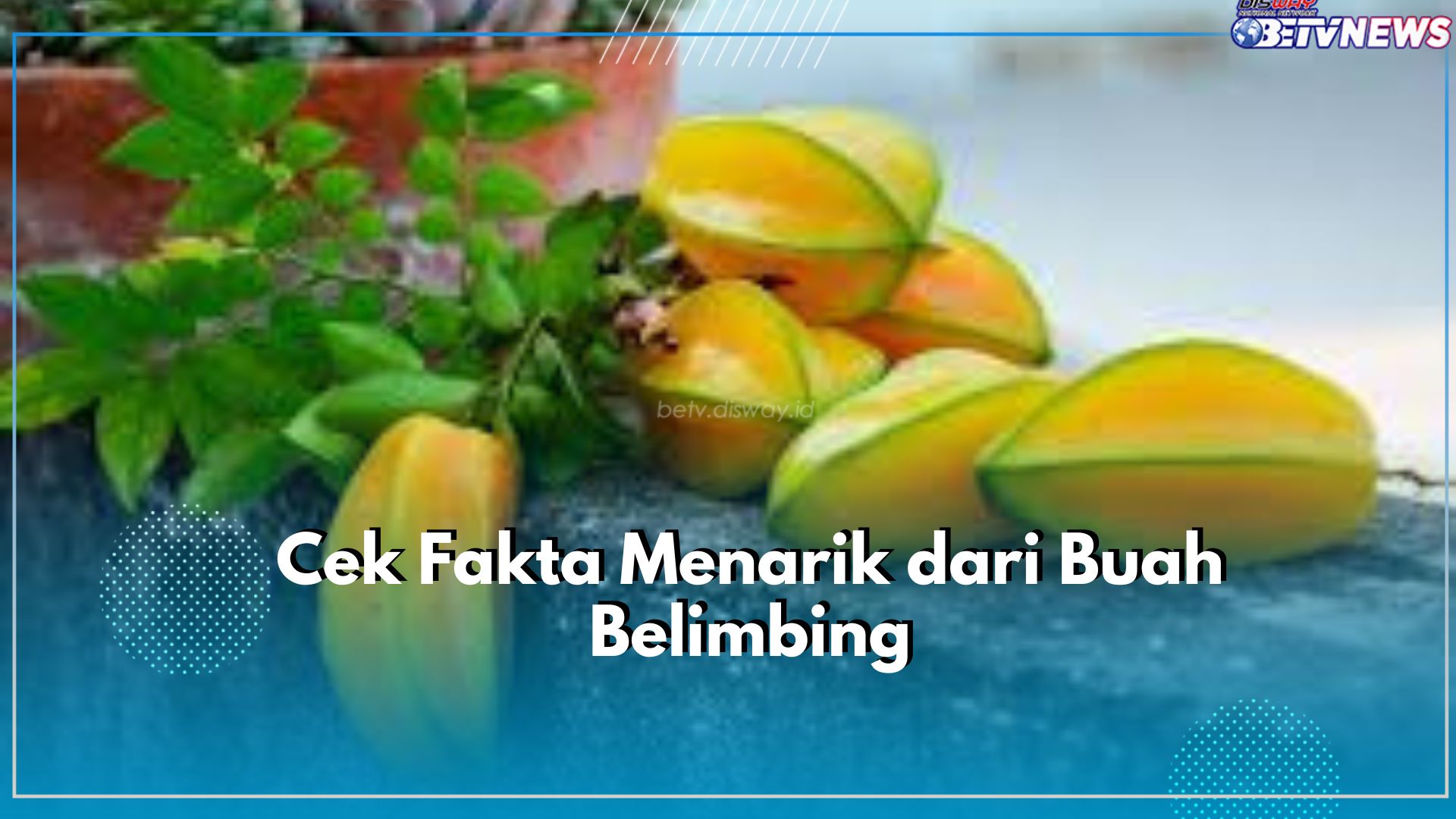 Wow! Ternyata Buah Belimbing Miliki Fakta Menarik yang Jarang Diketahui, Penasaran? Cek Disini!