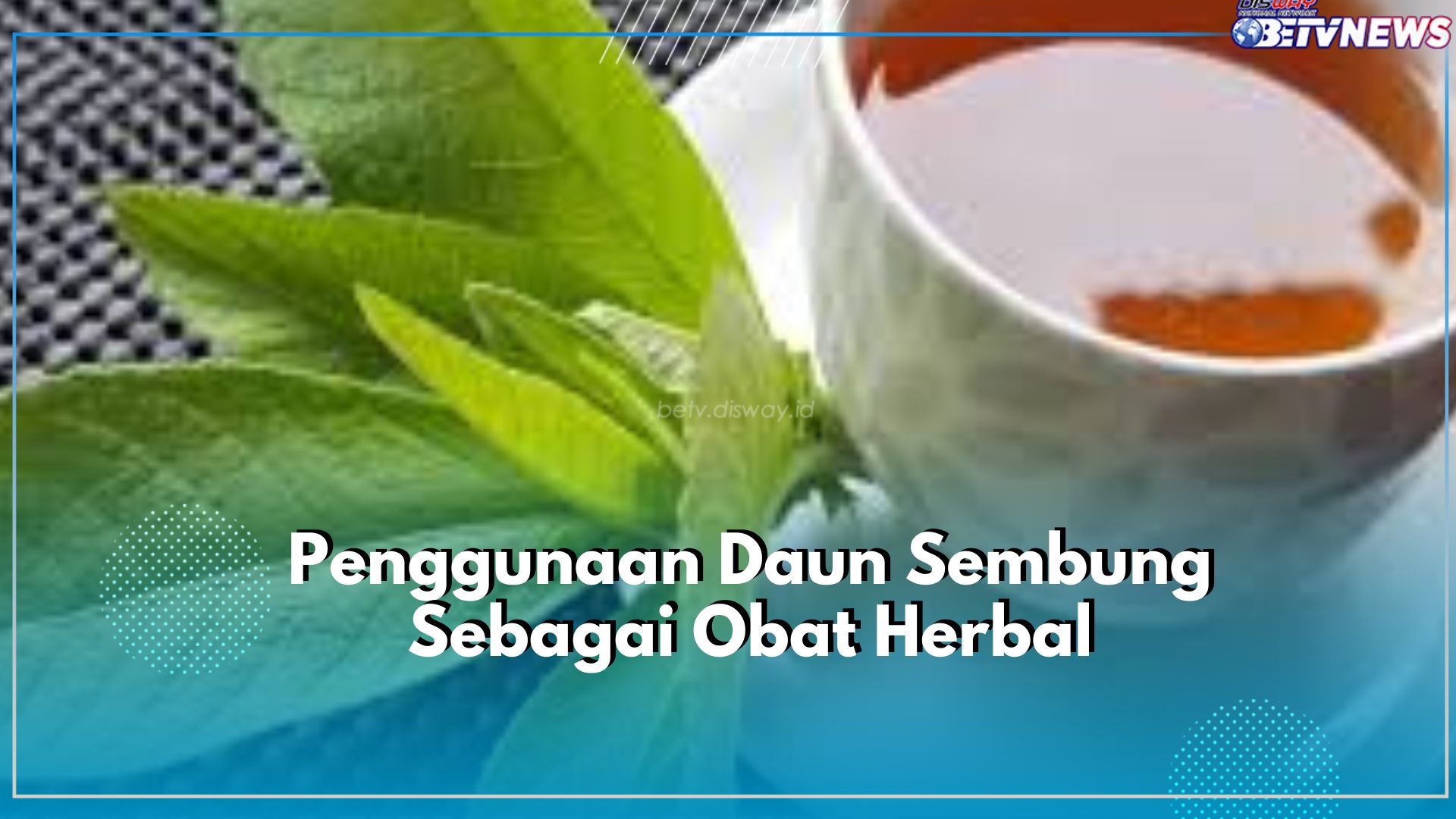 Punya Masalah Pada Pencernaan? Coba Atasi dengan Air Rebusan Daun Sembung, Cukup Diminum 2 Kali Sehari!