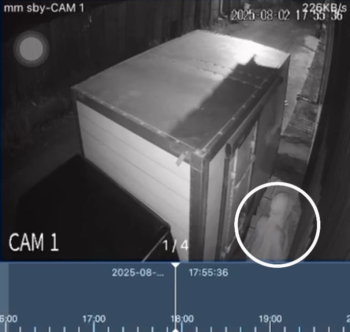 Aksi Pencurian Mobil Box di Samping Minimarket Kota Bengkulu Terekam CCTV