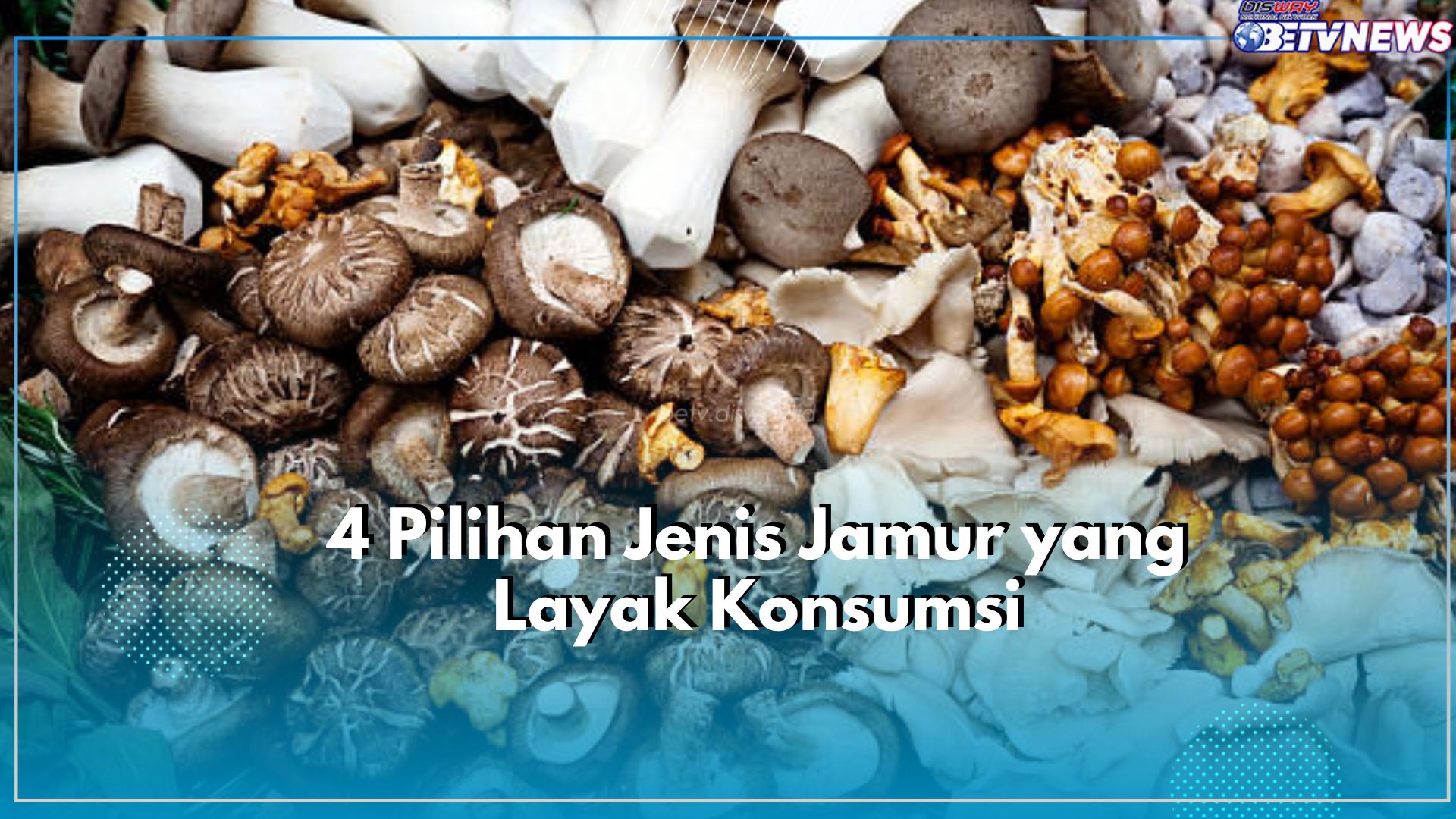 Layak Dikonsumsi, Ini 4 Pilihan Jenis Jamur yang Tawarkan Rasa Lezat dan Berkhasiat untuk Kesehatan
