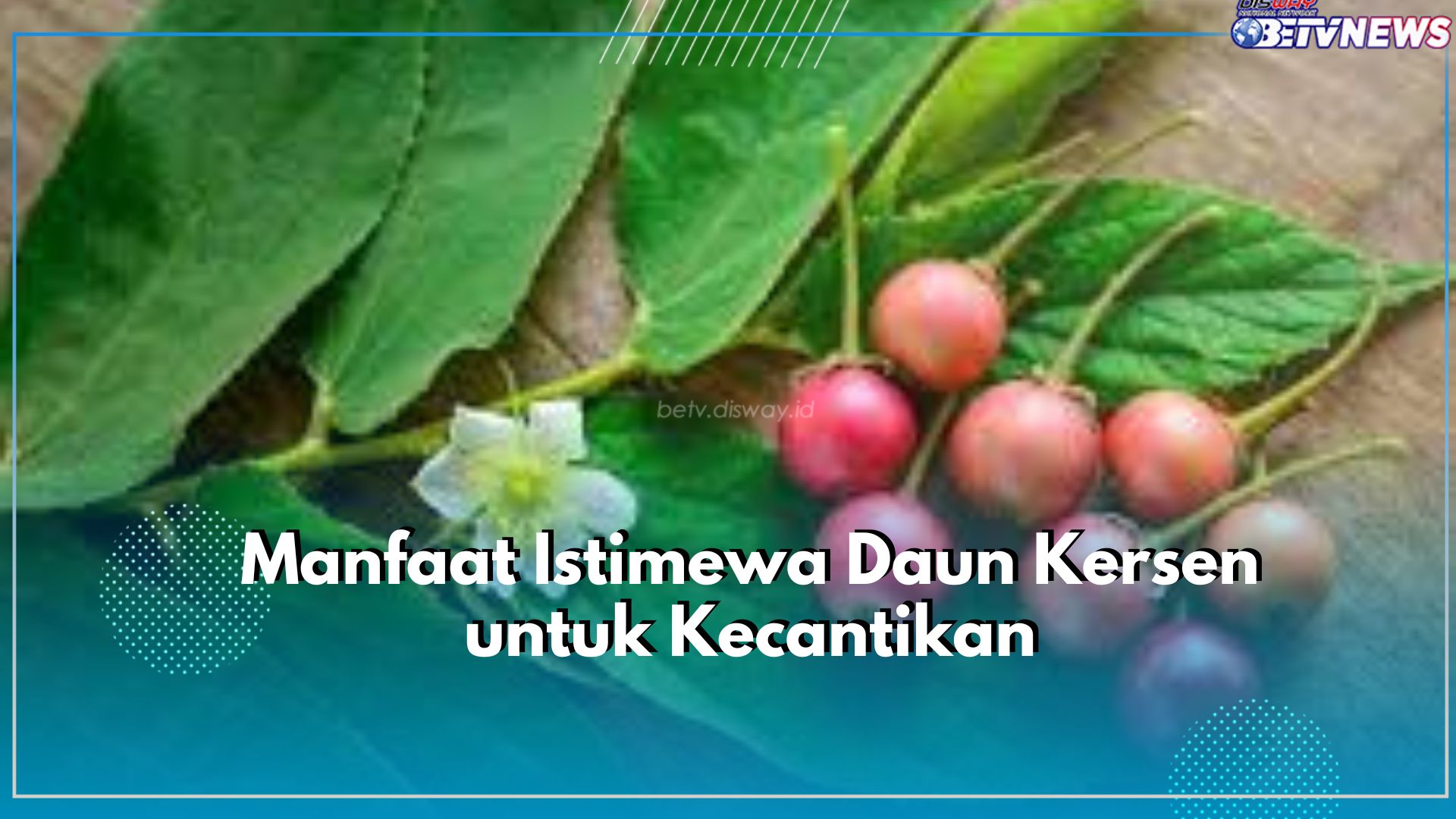 Ingin Kulit Cerah dan Bebas Tanda Penuaan Dini? Cukup Gunakan Masker atau Toner Daun Kersen!
