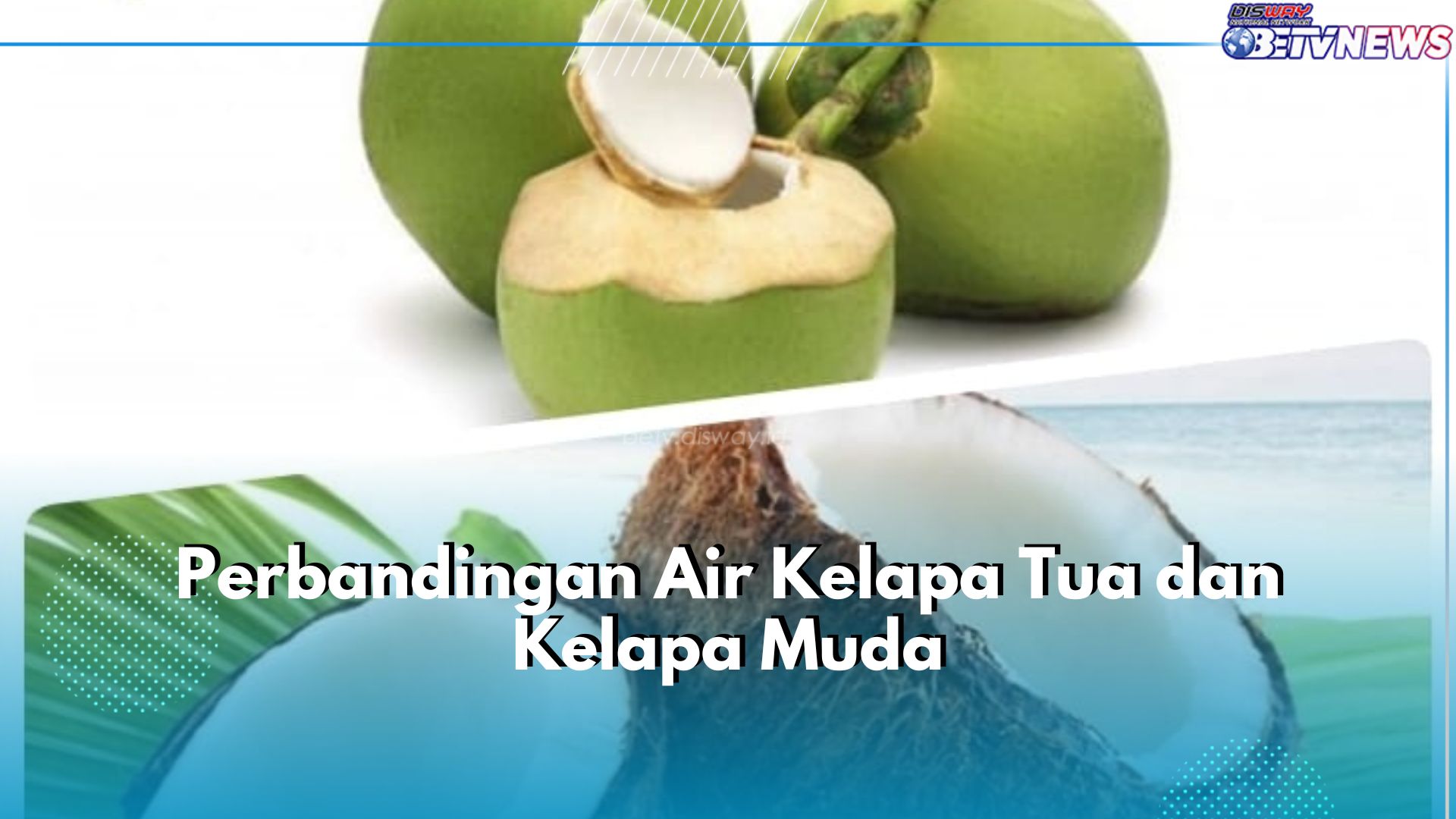 Kelapa Tua VS Kelapa Muda, Mana yang Lebih Sehat? Cek Perbandingannya di Sini