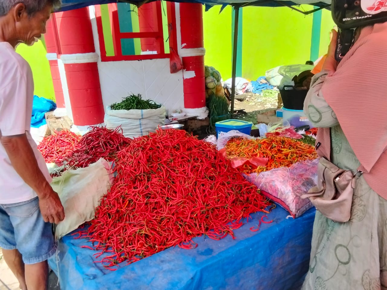 Harga Cabai Merah di Kota Bengkulu Naik 2 Kali Lipat, Kini Dijual Rp70 Ribu per Kilogram