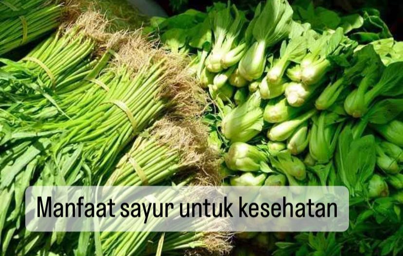 6 Manfaat Sayur untuk Kesehatan yang Jarang Diketahui, Salah Satunya Cegah Pikun, Cek Lainnya di Sini