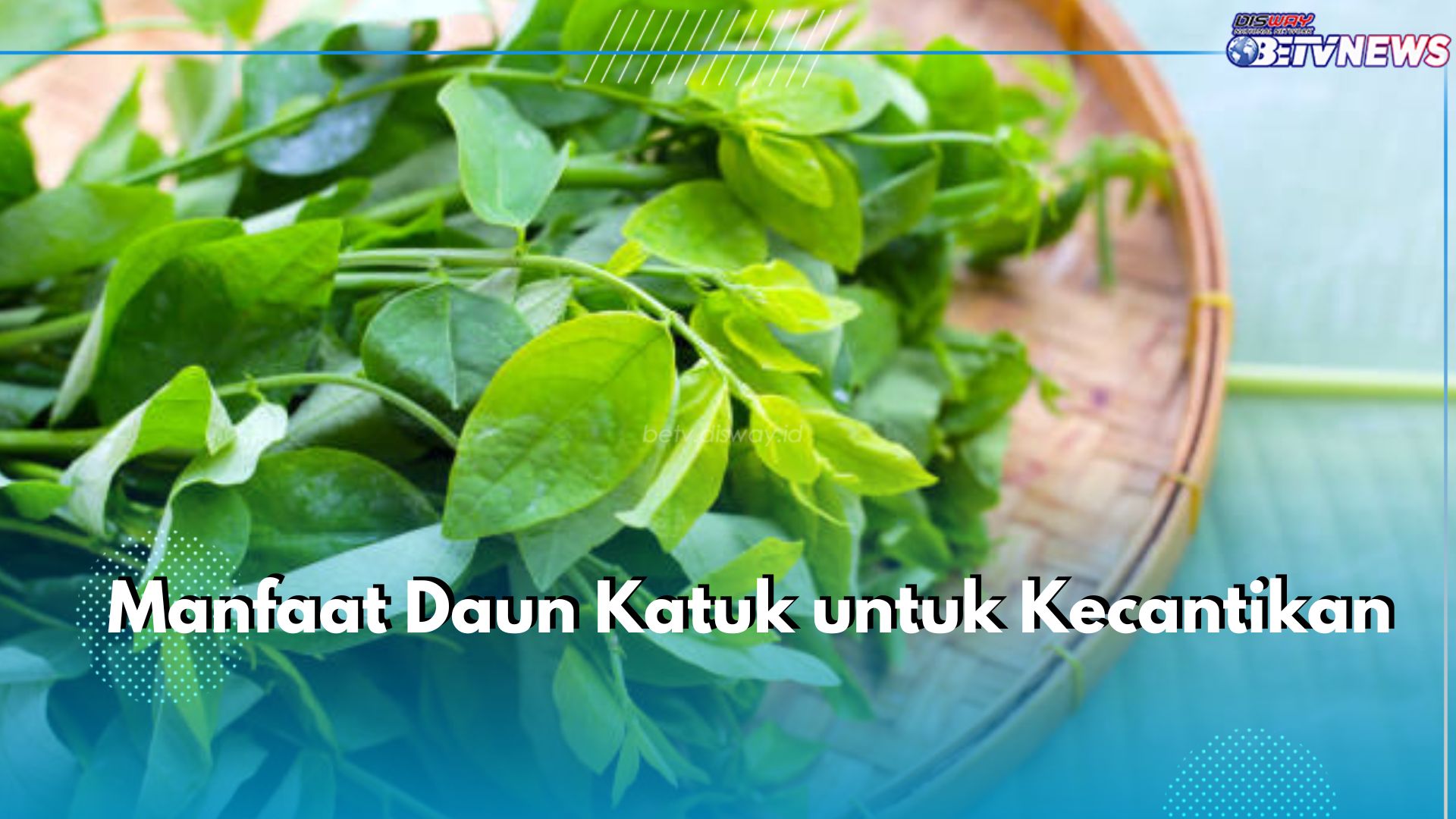 7 Manfaat Tak Terduga Daun Katuk untuk Kecantikan, Baik untuk Kulit hingga Kuku