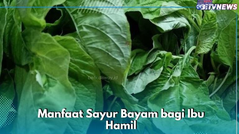 Cek di Sini! Sayur Bayam Dapat Dikonsumsi Sehari-hari, Ampuh Mencegah Anemia bagi Bumil