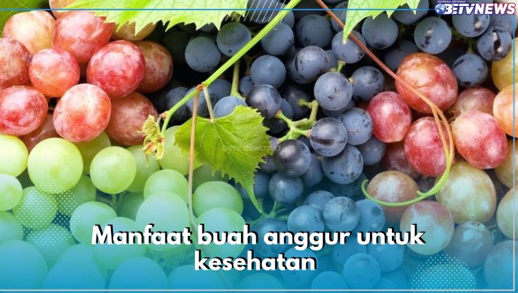 Mampu Turunkan Tekanan Darah! Ini 8 Manfaat Lain Buah Anggur untuk Kesehatan