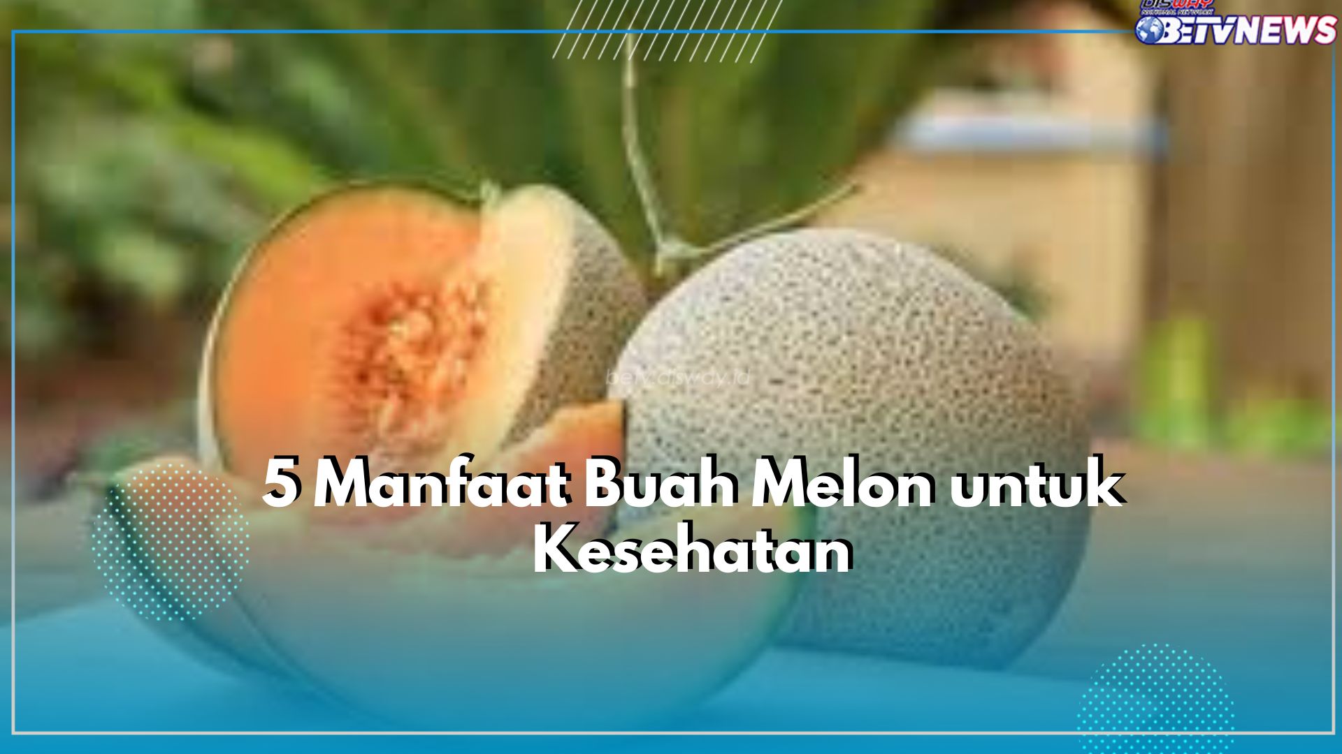 Aman Dikonsumsi Ibu Hamil, Ini Manfaat Buah Melon yang Jarang Diketahui