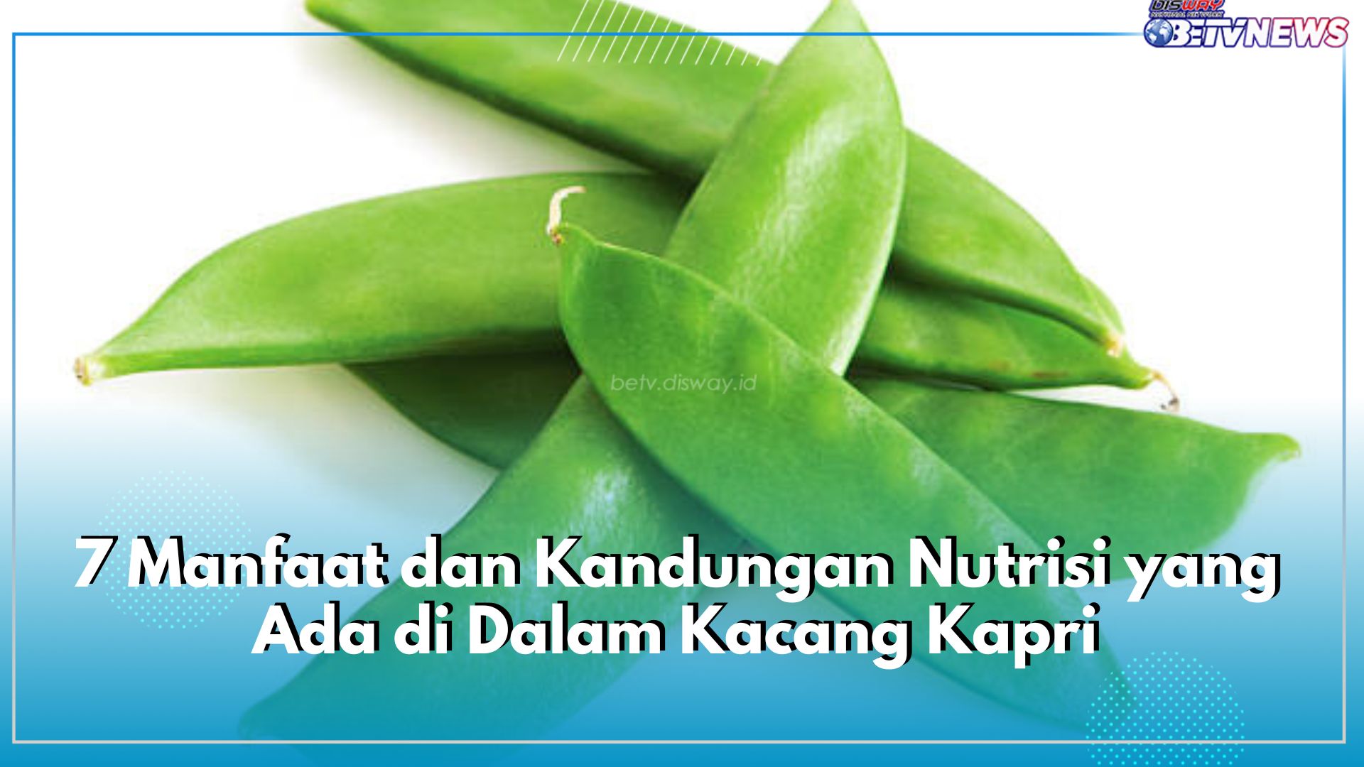 7 Manfaat dan Kandungan Nutrisi yang Ada di Dalam Kacang Kapri, Baik untuk Kesehatan Tubuh