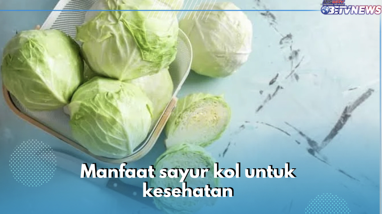 10 Manfaat Sayur Kol untuk Kesehatan, Nomor 3 Bantu Optimalkan Kekebalan Tubuh