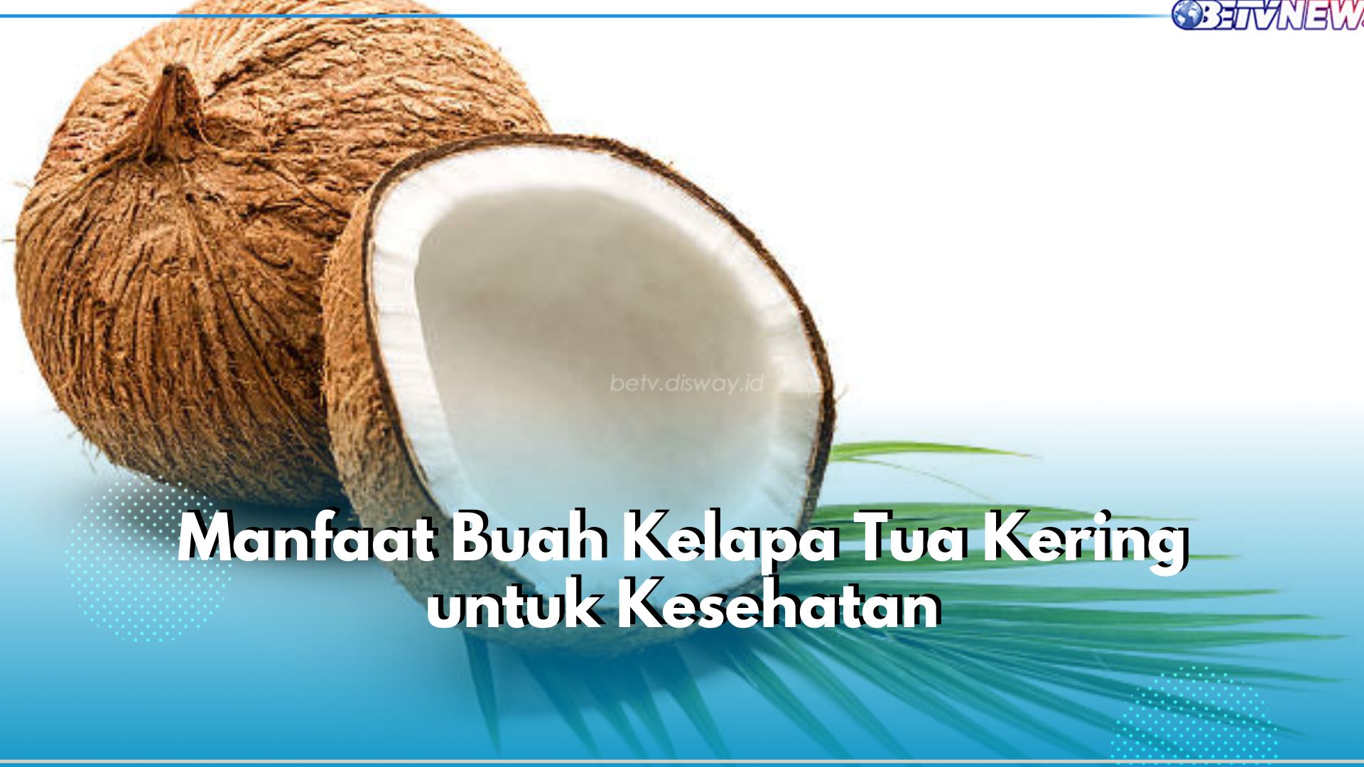 Pernah Makan Kelapa Tua Kering? Ternyata Miliki 5 Manfaat Ini untuk Kesehatan