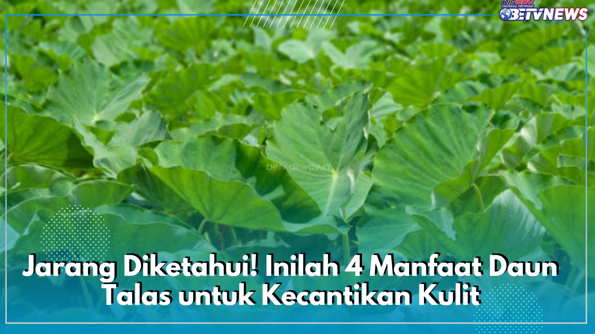 Jarang Diketahui! Inilah 4 Manfaat Daun Talas untuk Kecantikan Kulit