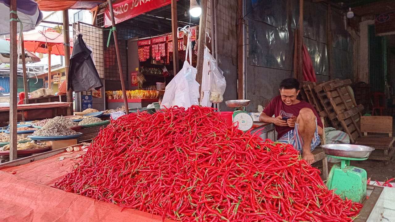 Harga Cabai di Kota Bengkulu Tak Lagi Pedas, Anjlok hingga Rp20 Ribu per Kilogram