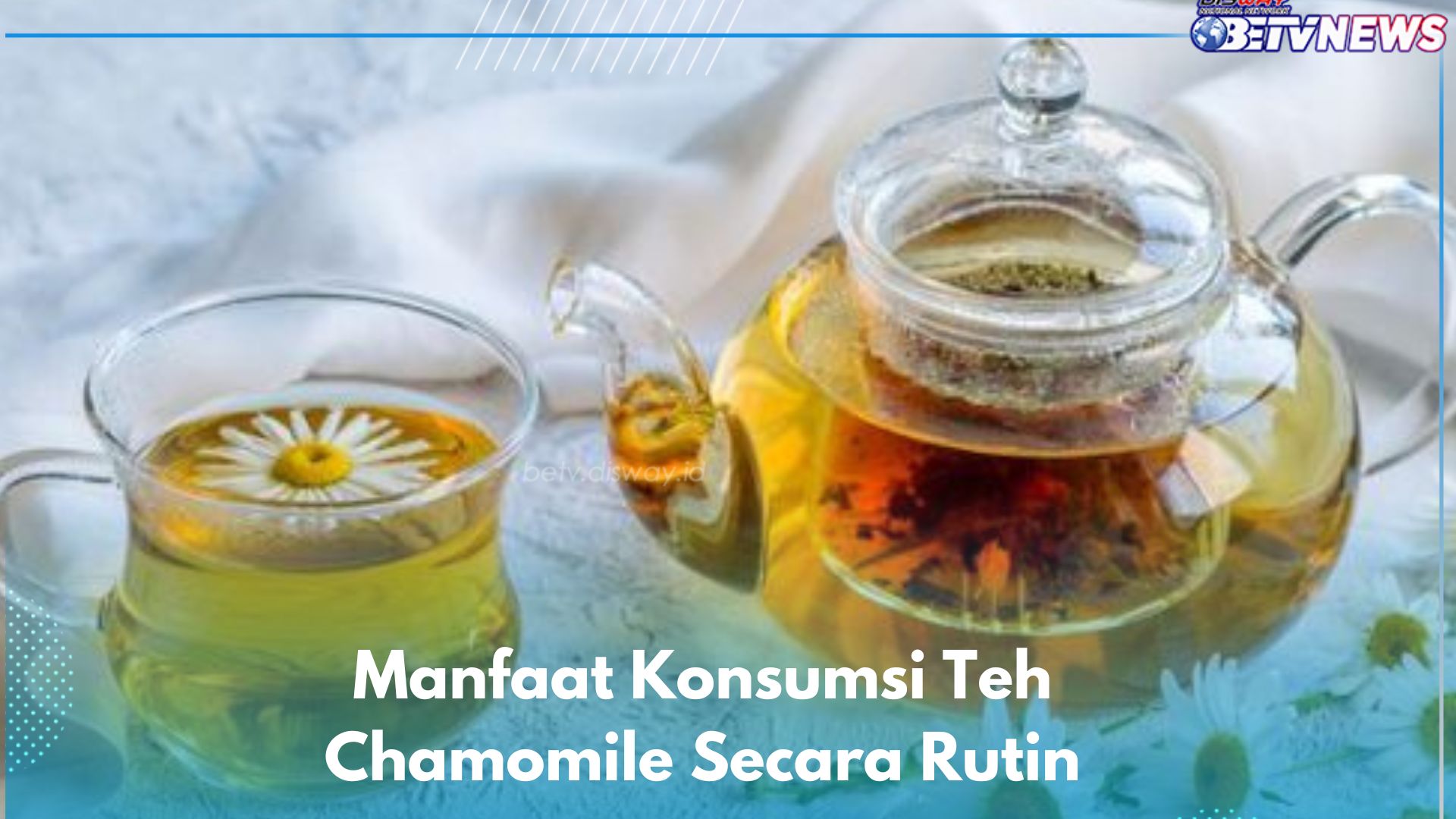 Cukup Konsumsi Teh Chamomile Ini, Dijamin Ampuh Meredakan Stres, Cek Manfaat Lainnya