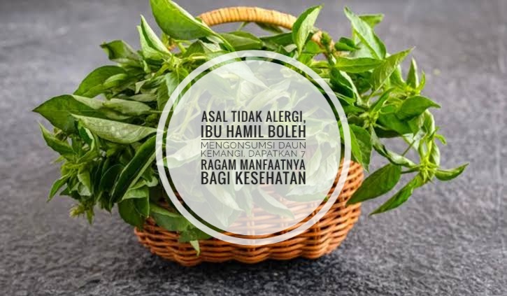 Asal Tidak Alergi, Ibu Hamil Boleh Mengonsumsi Daun Kemangi, Dapatkan 7 Ragam Manfaatnya bagi Kesehatan