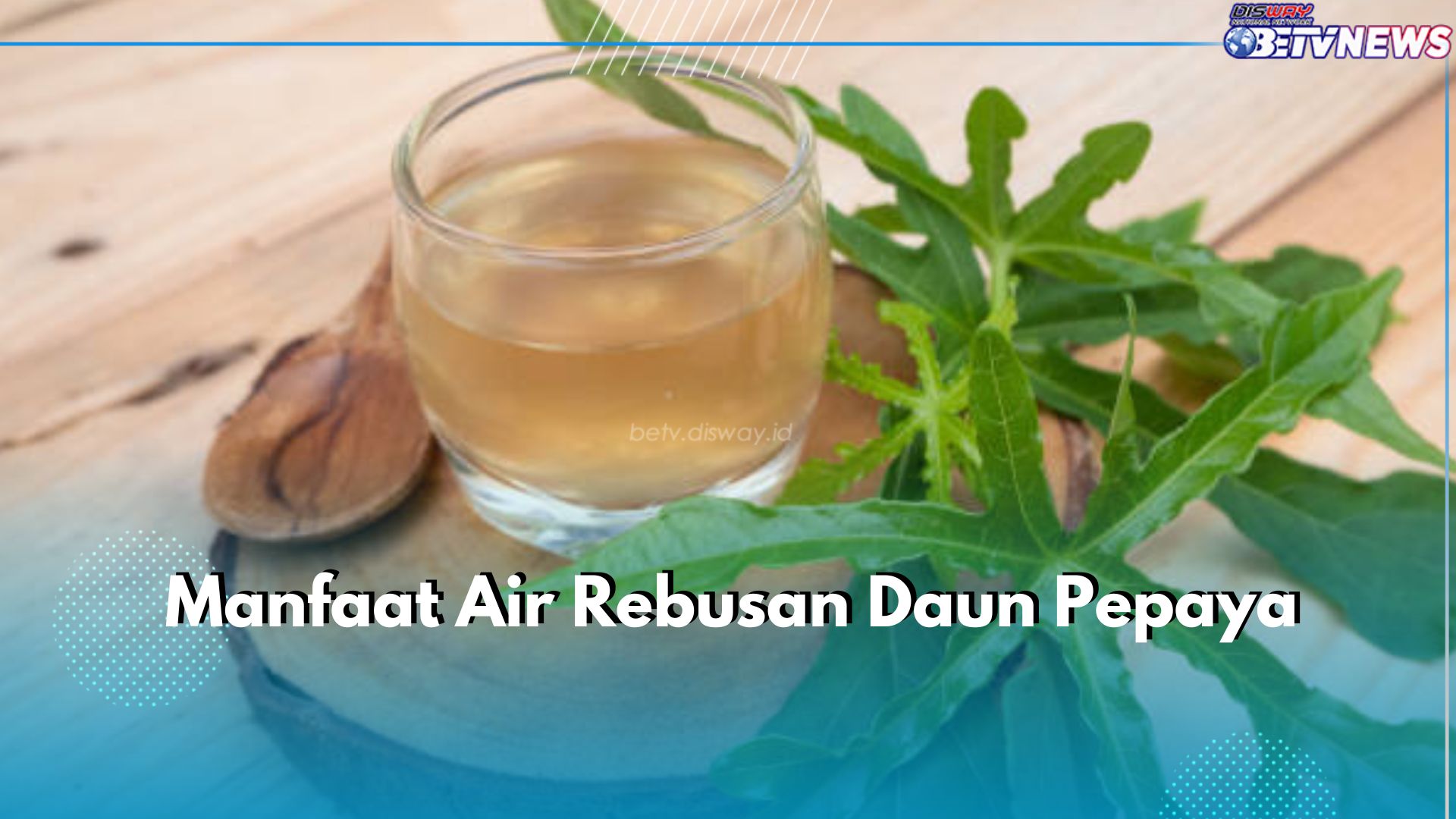 Miliki Efek Anti-Inflamasi, Ini 5 Manfaat Air Rebusan Daun Pepaya untuk Kesehatan