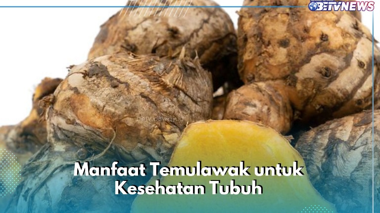 Cek di Sini! Manfaat Konsumsi Temulawak yang Jarang Diketahui, Bisa Bikin Pencernaan Makin Sehat