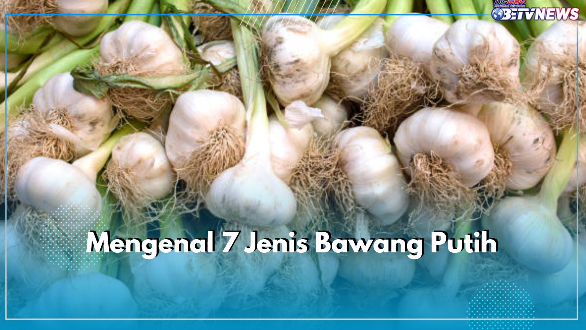 Mengenal 7 Jenis Bawang Putih, Rempah Dapur dengan Segudang Manfaat untuk Kesehatan