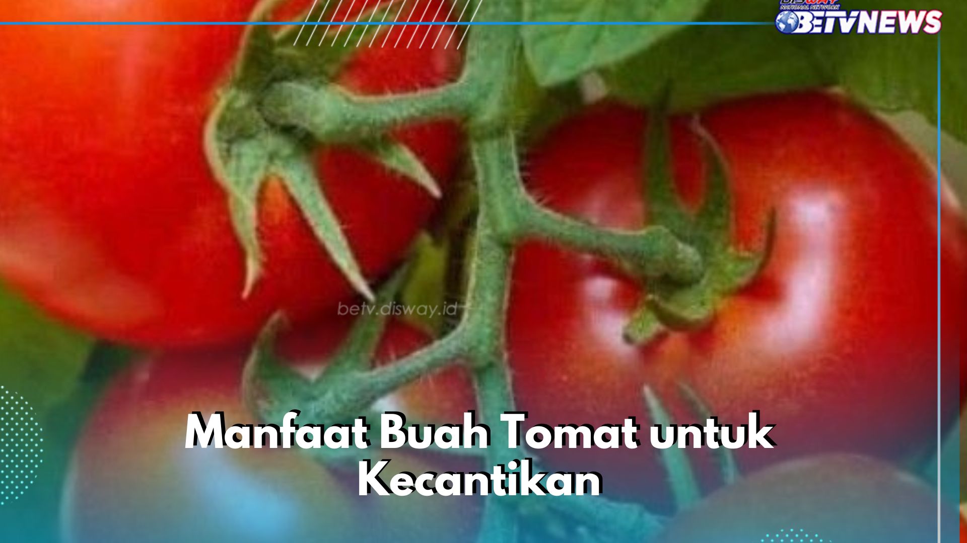 Buah Tomat Ampuh Redakan Peradangan Kulit, Cek Manfaat Lainnya bagi Kecantikan di Sini