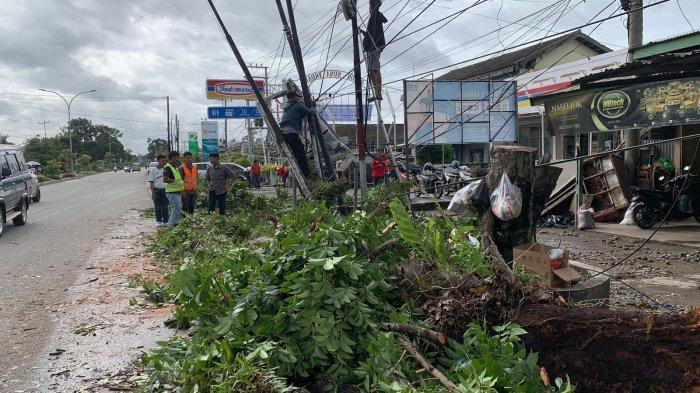 Cuaca Ekstrem Sebabkan Sejumlah Pohon Tumbang di Kota Bengkulu, BPBD Tingkatkan Kewaspadaan