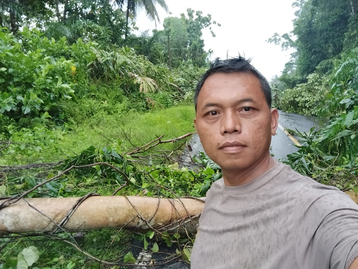BREAKING NEWS: Hati-hati, Jalinbar Sumatera-Kaur Tertutupi Pohon Tumbang