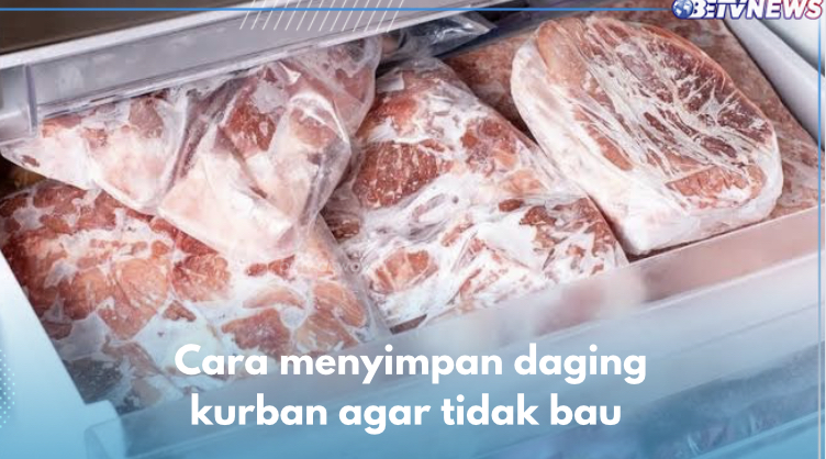Selain Simpan Dalam Freezer, Ini 7 Cara Lain Menyimpan Daging Kurban agar Tidak Busuk