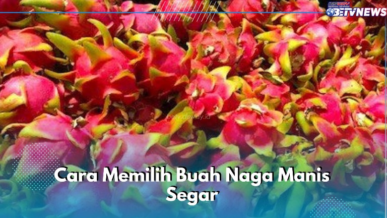 Bingung Pilih Buah Naga Manis Segar? Coba Lakukan 6 Cara Ini 