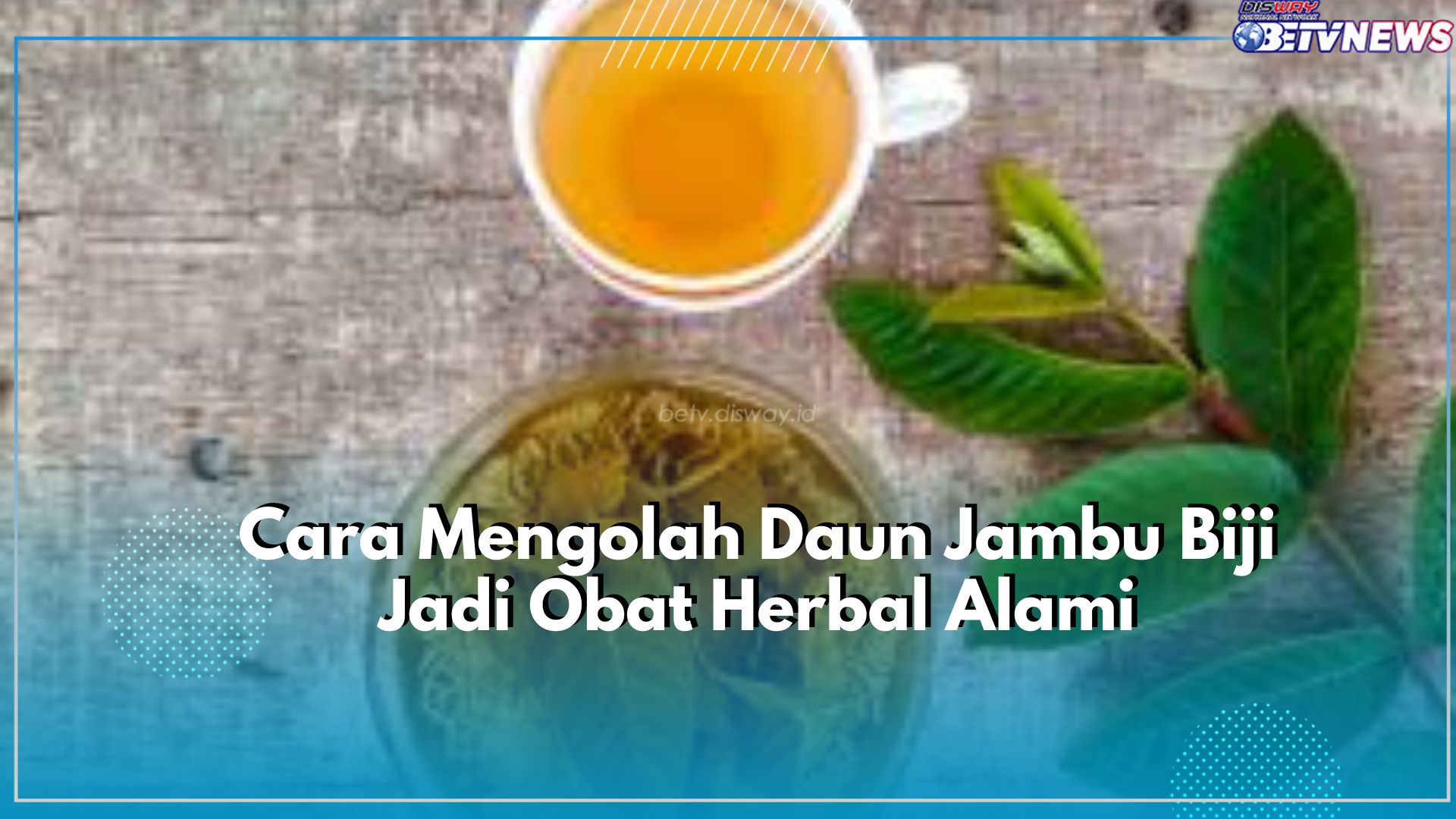 Daun Jambu Biji Cocok Dijadikan Obat Herbal Alami, Klik Disini Cara Mengolahnya