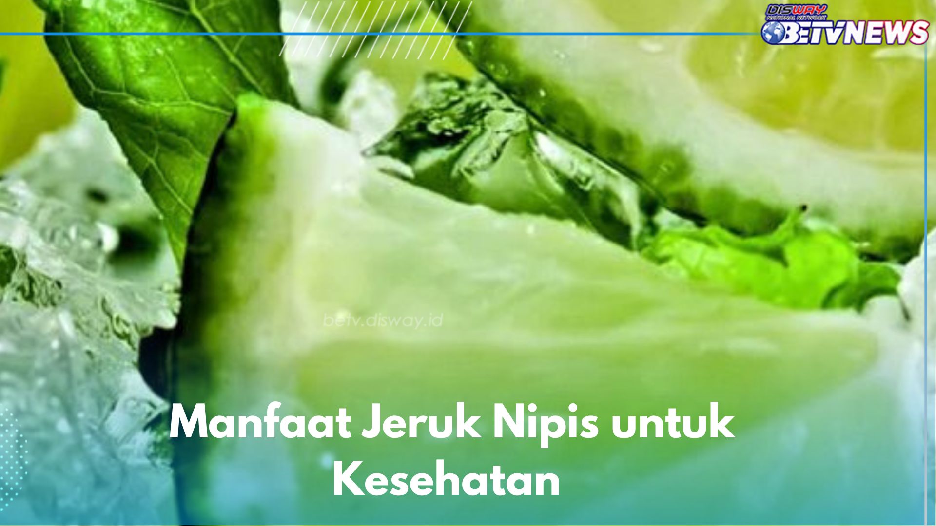 Jeruk Nipis Punya 6 Manfaat Baik untuk Kesehatan, Salah Satunya Dapat Mencegah Anemia