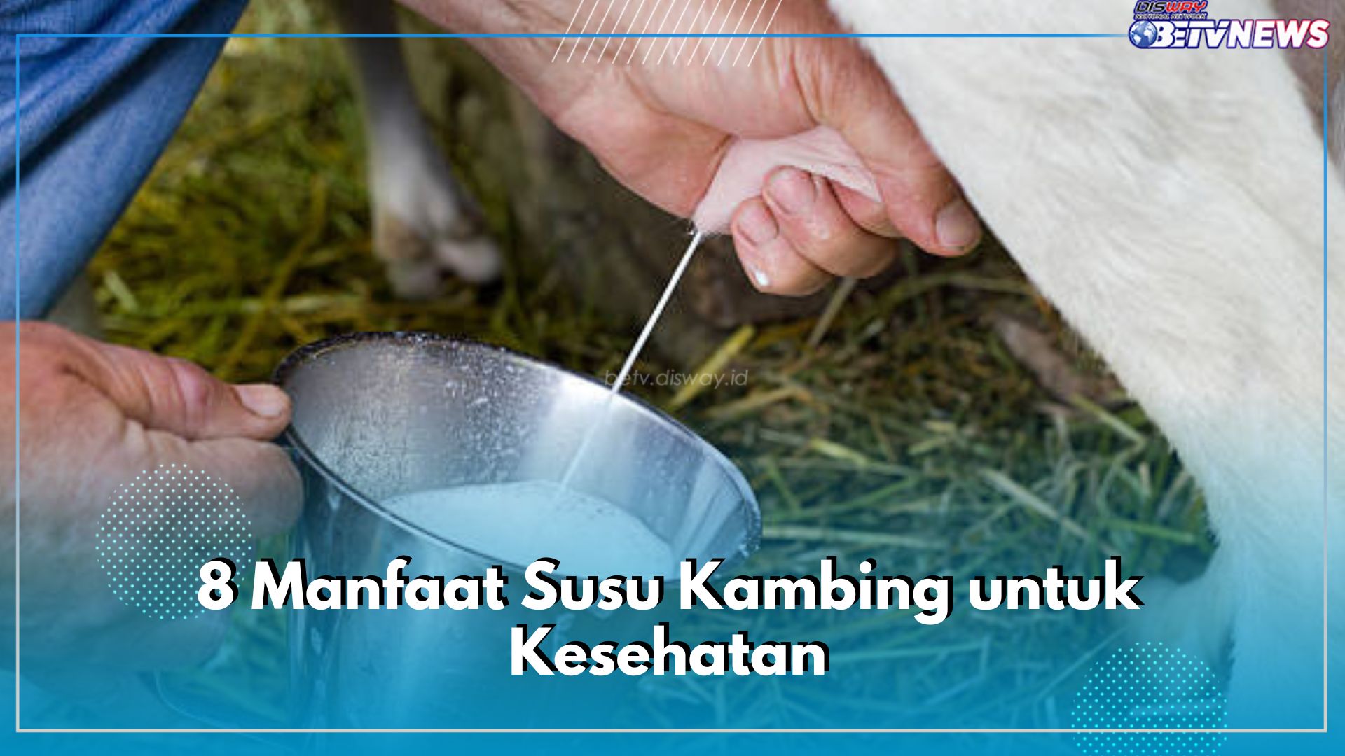 8 Manfaat Susu Kambing untuk Kesehatan, Punya Segudang Nutrisi Baik Bagi Tubuh