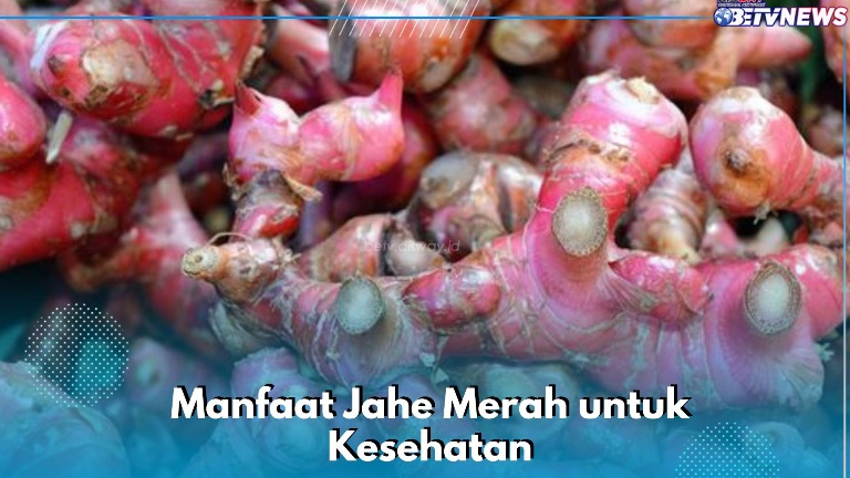 Manfaat Lain Jahe Merah yang Jarang Diketahui, Ampuh Menghambat Sel Kanker