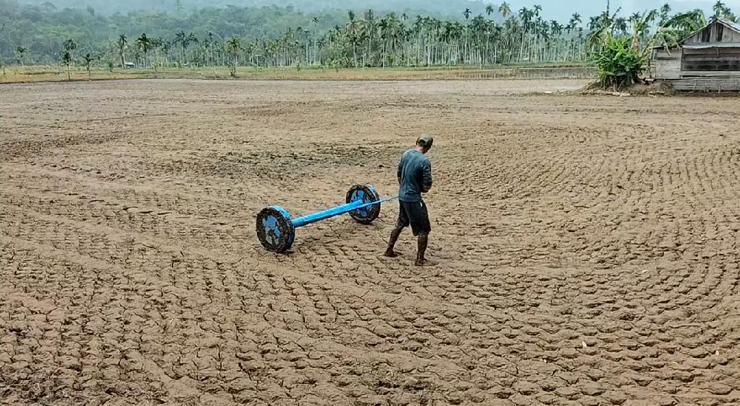 Petani di Lebong  Terapkan Program MT3 dengan Teknologi Tabela 